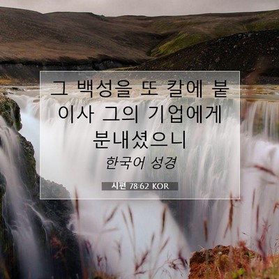Picture 07 - 시편 78:62 KOR - 그 백성을 또 칼에 붙이사 그의 - Bible Verse Picture