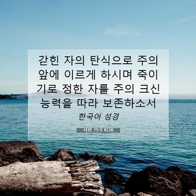 Picture 07 - 시편 79:11 KOR - 갇힌 자의 탄식으로 주의 앞에 - Bible Verse Picture