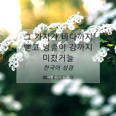 Picture 07 - 시편 80:11 KOR - 그 가지가 바다까지 뻗고 넝쿨이 - Bible Verse Picture