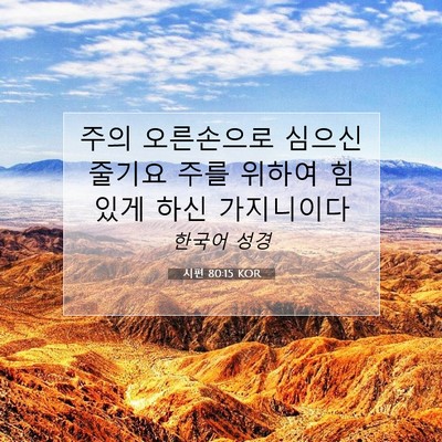 Picture 07 - 시편 80:15 KOR - 주의 오른손으로 심으신 줄기요 주를 - Bible Verse Picture