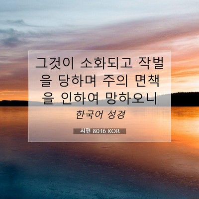 Picture 07 - 시편 80:16 KOR - 그것이 소화되고 작벌을 당하며 주의 - Bible Verse Picture