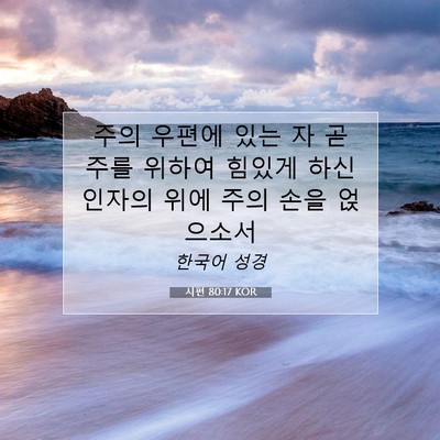Picture 07 - 시편 80:17 KOR - 주의 우편에 있는 자 곧 주를 위하여 - Bible Verse Picture