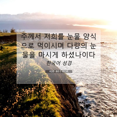 Picture 07 - 시편 80:5 KOR - 주께서 저희를 눈물 양식으로 - Bible Verse Picture