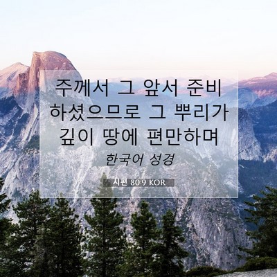 Picture 07 - 시편 80:9 KOR - 주께서 그 앞서 준비하셨으므로 그 - Bible Verse Picture