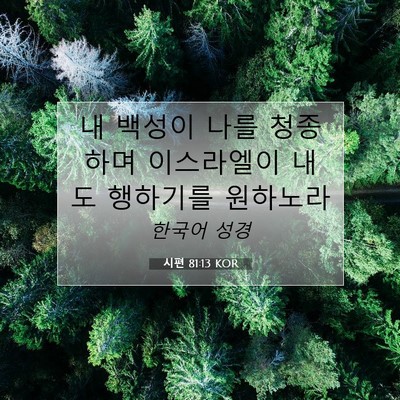 Picture 07 - 시편 81:13 KOR - 내 백성이 나를 청종하며 이스라엘이 - Bible Verse Picture