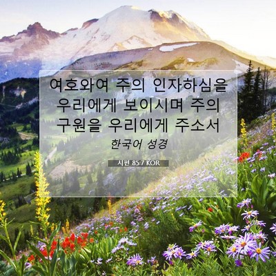 Picture 07 - 시편 85:7 KOR - 여호와여 주의 인자하심을 우리에게 - Bible Verse Picture