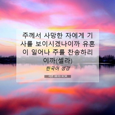 Picture 07 - 시편 88:10 KOR - 주께서 사망한 자에게 기사를 - Bible Verse Picture