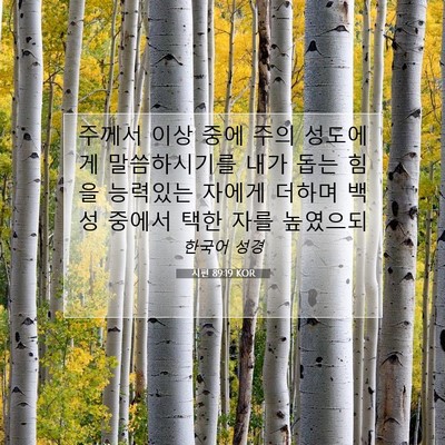 Picture 07 - 시편 89:19 KOR - 주께서 이상 중에 주의 성도에게 - Bible Verse Picture