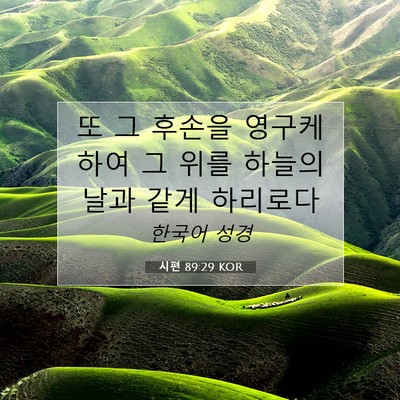 Picture 07 - 시편 89:29 KOR - 또 그 후손을 영구케 하여 그 위를 - Bible Verse Picture