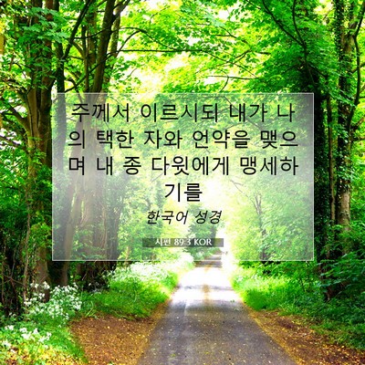 Picture 07 - 시편 89:3 KOR - 주께서 이르시되 내가 나의 택한 - Bible Verse Picture