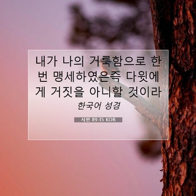 Picture 07 - 시편 89:35 KOR - 내가 나의 거룩함으로 한번 - Bible Verse Picture