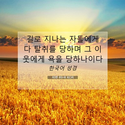 Picture 07 - 시편 89:41 KOR - 길로 지나는 자들에게 다 탈취를 - Bible Verse Picture