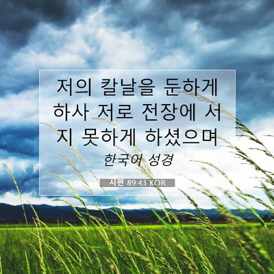 Picture 07 - 시편 89:43 KOR - 저의 칼날을 둔하게 하사 저로 - Bible Verse Picture