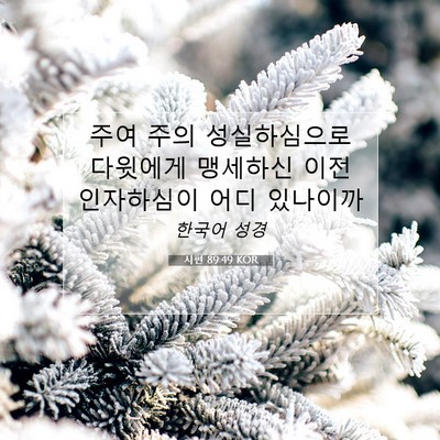 Picture 07 - 시편 89:49 KOR - 주여 주의 성실하심으로 다윗에게 - Bible Verse Picture