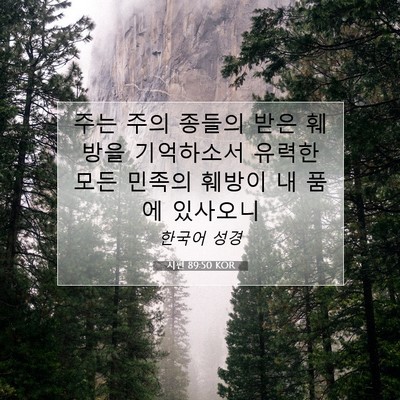Picture 07 - 시편 89:50 KOR - 주는 주의 종들의 받은 훼방을 - Bible Verse Picture