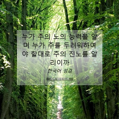 Picture 07 - 시편 90:11 KOR - 누가 주의 노의 능력을 알며 누가 - Bible Verse Picture