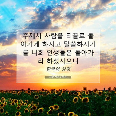 Picture 07 - 시편 90:3 KOR - 주께서 사람을 티끌로 돌아가게 - Bible Verse Picture