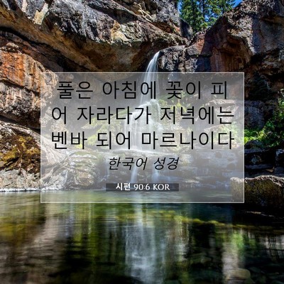 Picture 07 - 시편 90:6 KOR - 풀은 아침에 꽃이 피어 자라다가 - Bible Verse Picture