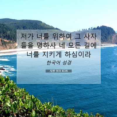 Picture 07 - 시편 91:11 KOR - 저가 너를 위하여 그 사자들을 - Bible Verse Picture