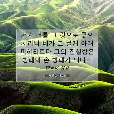 Picture 07 - 시편 91:4 KOR - 저가 너를 그 깃으로 덮으시리니 - Bible Verse Picture