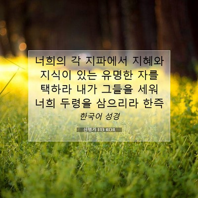 Picture 07 - 신명기 1:13 KOR - 너희의 각 지파에서 지혜와 지식이 - Bible Verse Picture