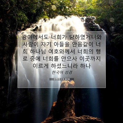 Picture 07 - 신명기 1:31 KOR - 광야에서도 너희가 당하였거니와 - Bible Verse Picture