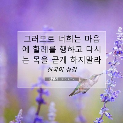 Picture 07 - 신명기 10:16 KOR - 그러므로 너희는 마음에 할례를 - Bible Verse Picture