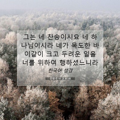 Picture 07 - 신명기 10:21 KOR - 그는 네 찬송이시요 네 하나님이시라 - Bible Verse Picture