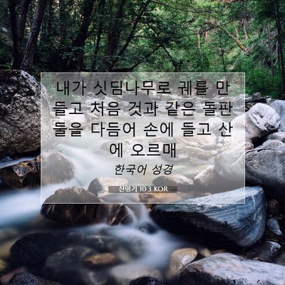 Picture 07 - 신명기 10:3 KOR - 내가 싯딤나무로 궤를 만들고 처음 - Bible Verse Picture