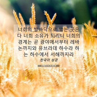 Picture 07 - 신명기 11:24 KOR - 너희의 발바닥으로 밟는 곳은 다 - Bible Verse Picture