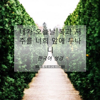 Picture 07 - 신명기 11:26 KOR - 내가 오늘날 복과 저주를 너희 앞에 - Bible Verse Picture
