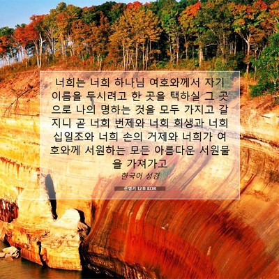 Picture 07 - 신명기 12:11 KOR - 너희는 너희 하나님 여호와께서 자기 - Bible Verse Picture