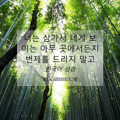 Picture 07 - 신명기 12:13 KOR - 너는 삼가서 네게 보이는 아무 - Bible Verse Picture