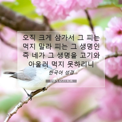 Picture 07 - 신명기 12:23 KOR - 오직 크게 삼가서 그 피는 먹지 말라 - Bible Verse Picture
