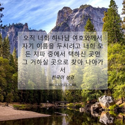 Picture 07 - 신명기 12:5 KOR - 오직 너희 하나님 여호와께서 자기 - Bible Verse Picture