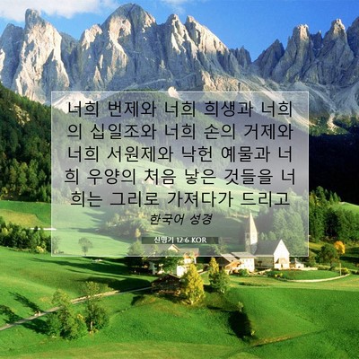 Picture 07 - 신명기 12:6 KOR - 너희 번제와 너희 희생과 너희의 - Bible Verse Picture