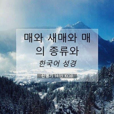 Picture 07 - 신명기 14:13 KOR - 매와 새매와 매의 - Bible Verse Picture