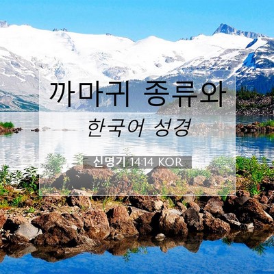 Picture 07 - 신명기 14:14 KOR - 까마귀 - Bible Verse Picture