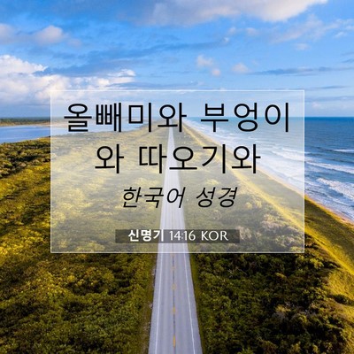 Picture 07 - 신명기 14:16 KOR - 올빼미와 부엉이와 - Bible Verse Picture