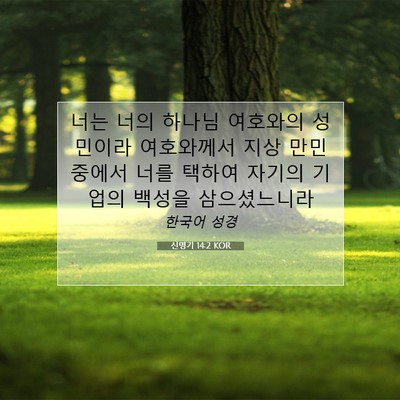 Picture 07 - 신명기 14:2 KOR - 너는 너의 하나님 여호와의 성민이라 - Bible Verse Picture