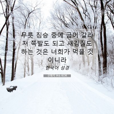 Picture 07 - 신명기 14:6 KOR - 무릇 짐승 중에 굽이 갈라져 쪽발도 - Bible Verse Picture