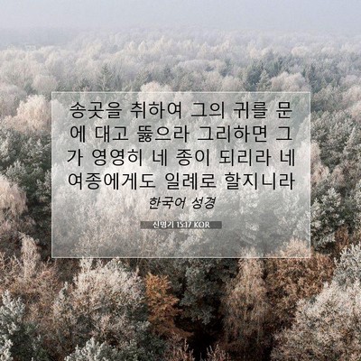 Picture 07 - 신명기 15:17 KOR - 송곳을 취하여 그의 귀를 문에 대고 - Bible Verse Picture