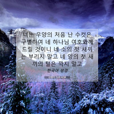 Picture 07 - 신명기 15:19 KOR - 너는 우양의 처음 난 수컷은 - Bible Verse Picture