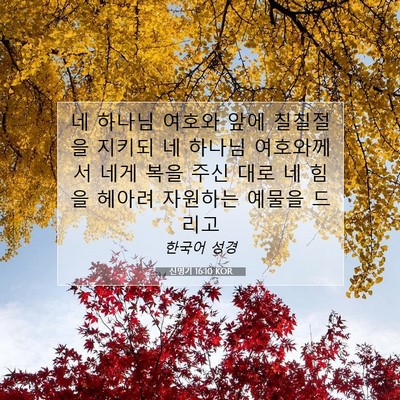 Picture 07 - 신명기 16:10 KOR - 네 하나님 여호와 앞에 칠칠절을 - Bible Verse Picture