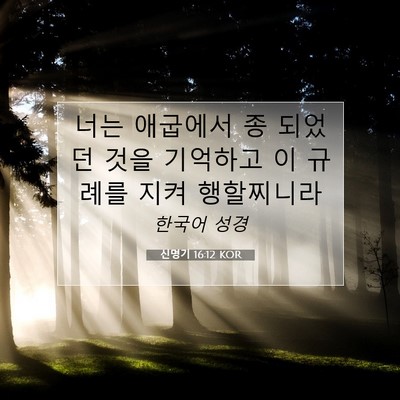 Picture 07 - 신명기 16:12 KOR - 너는 애굽에서 종 되었던 것을 - Bible Verse Picture