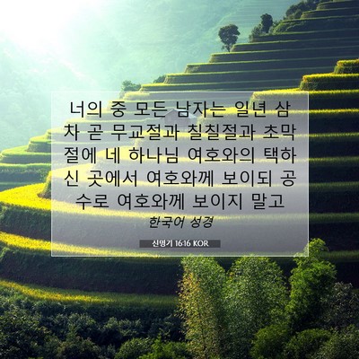 Picture 07 - 신명기 16:16 KOR - 너의 중 모든 남자는 일년 삼차 곧 - Bible Verse Picture