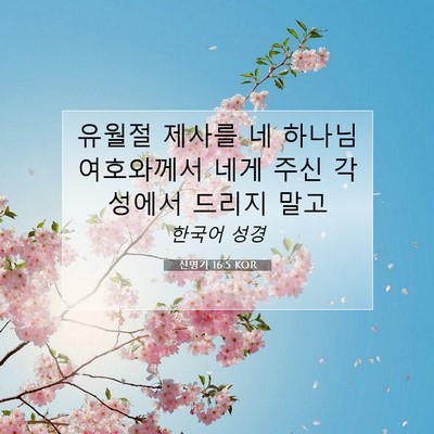 Picture 07 - 신명기 16:5 KOR - 유월절 제사를 네 하나님 여호와께서 - Bible Verse Picture
