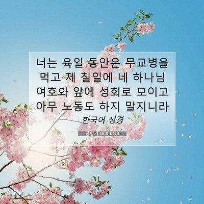 Picture 07 - 신명기 16:8 KOR - 너는 육일 동안은 무교병을 먹고 제 - Bible Verse Picture