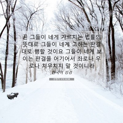 Picture 07 - 신명기 17:11 KOR - 곧 그들이 네게 가르치는 법률의 - Bible Verse Picture
