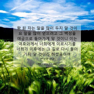 Picture 07 - 신명기 17:16 KOR - 왕 된 자는 말을 많이 두지 말 것이요 - Bible Verse Picture